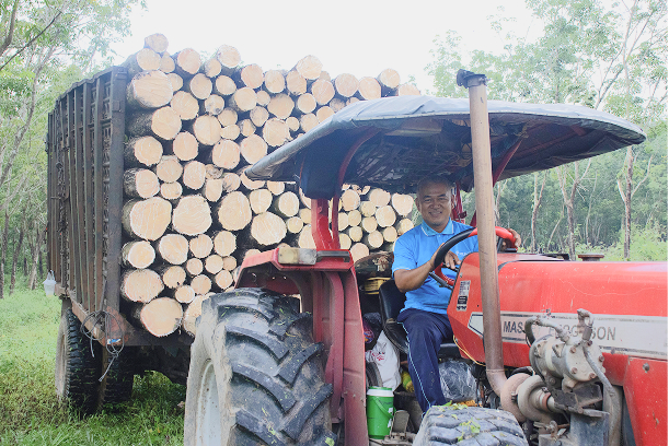 Raw Material Preparation