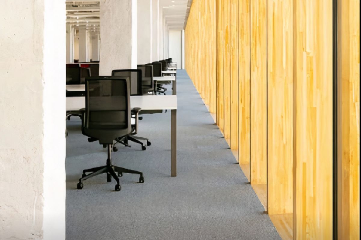 Image hover effect image