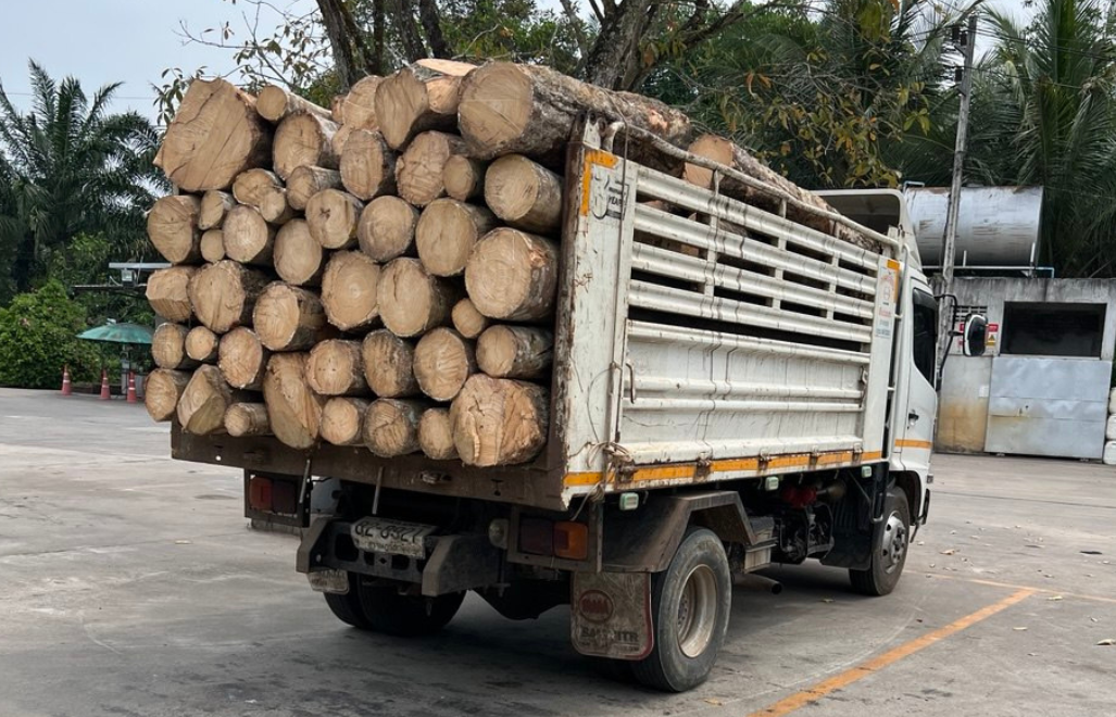 wood car