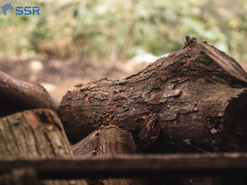 Raw Wood Materials