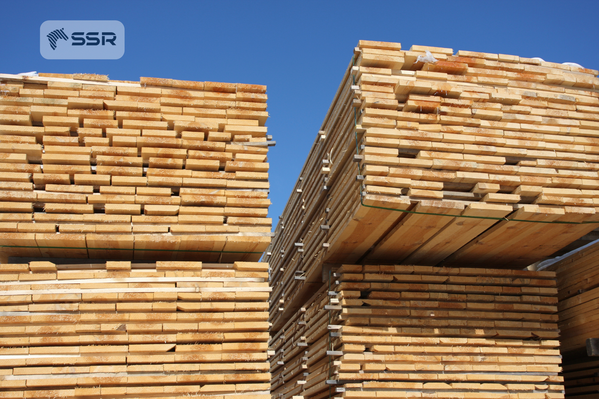 We maintain rigorous oversight at every stage.