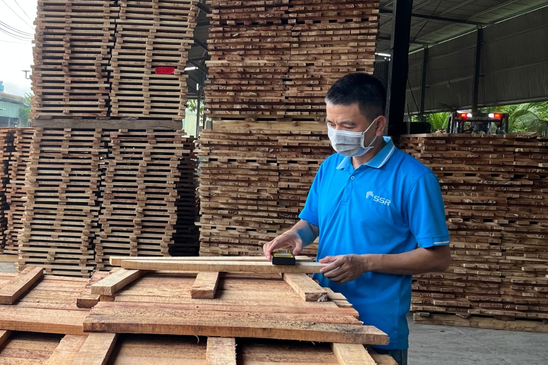 Why Moisture Consistency Defines Export-Grade Wood Panels?