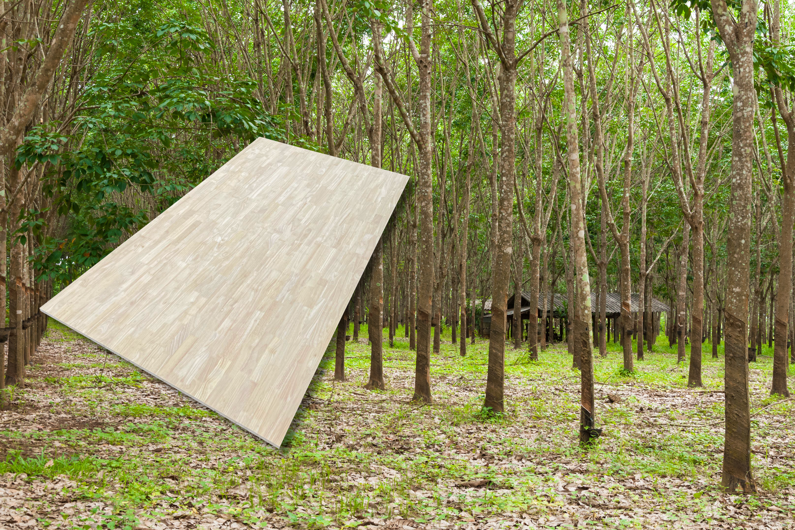 SSR History 2011 - 2014