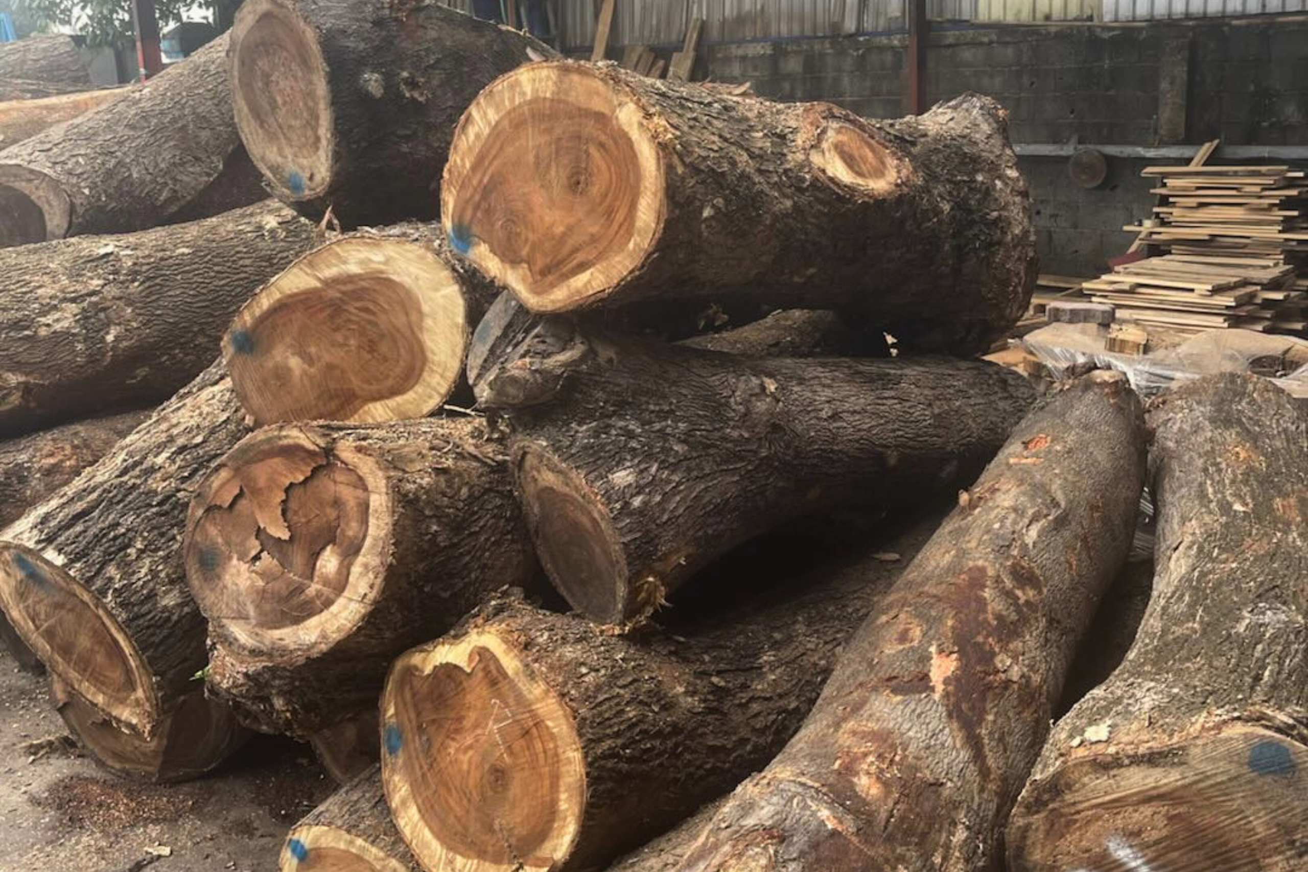 SSR History 2019 - 2022