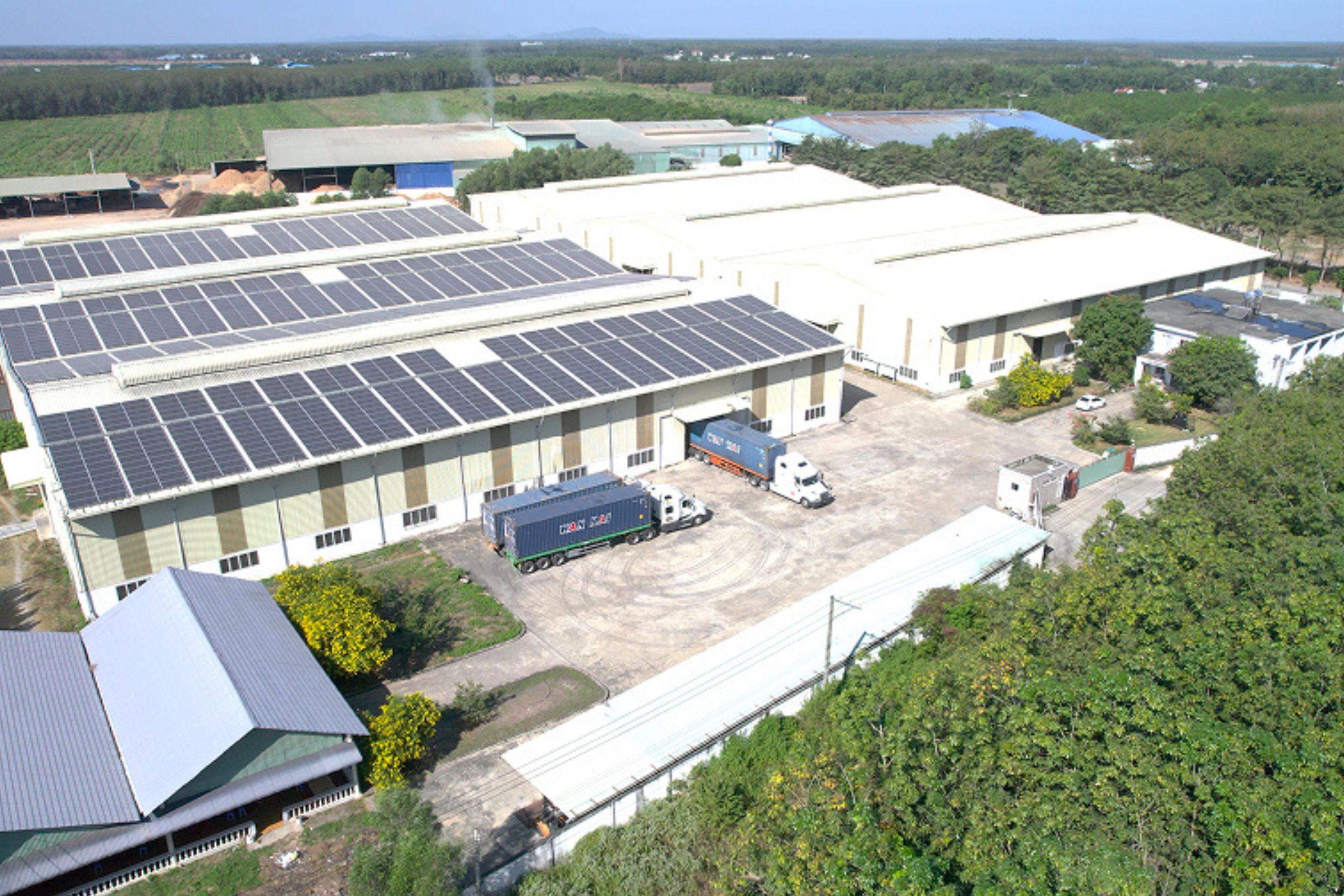 SSR Wood – Ho Chi Minh City