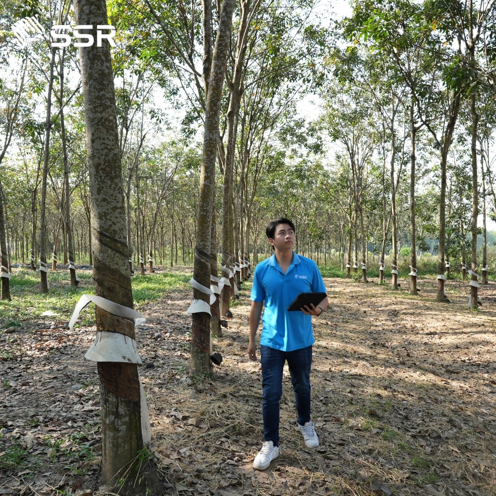 Precision processing aligned with international standards