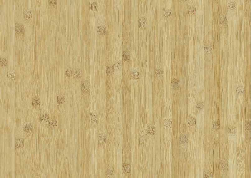 Bamboo