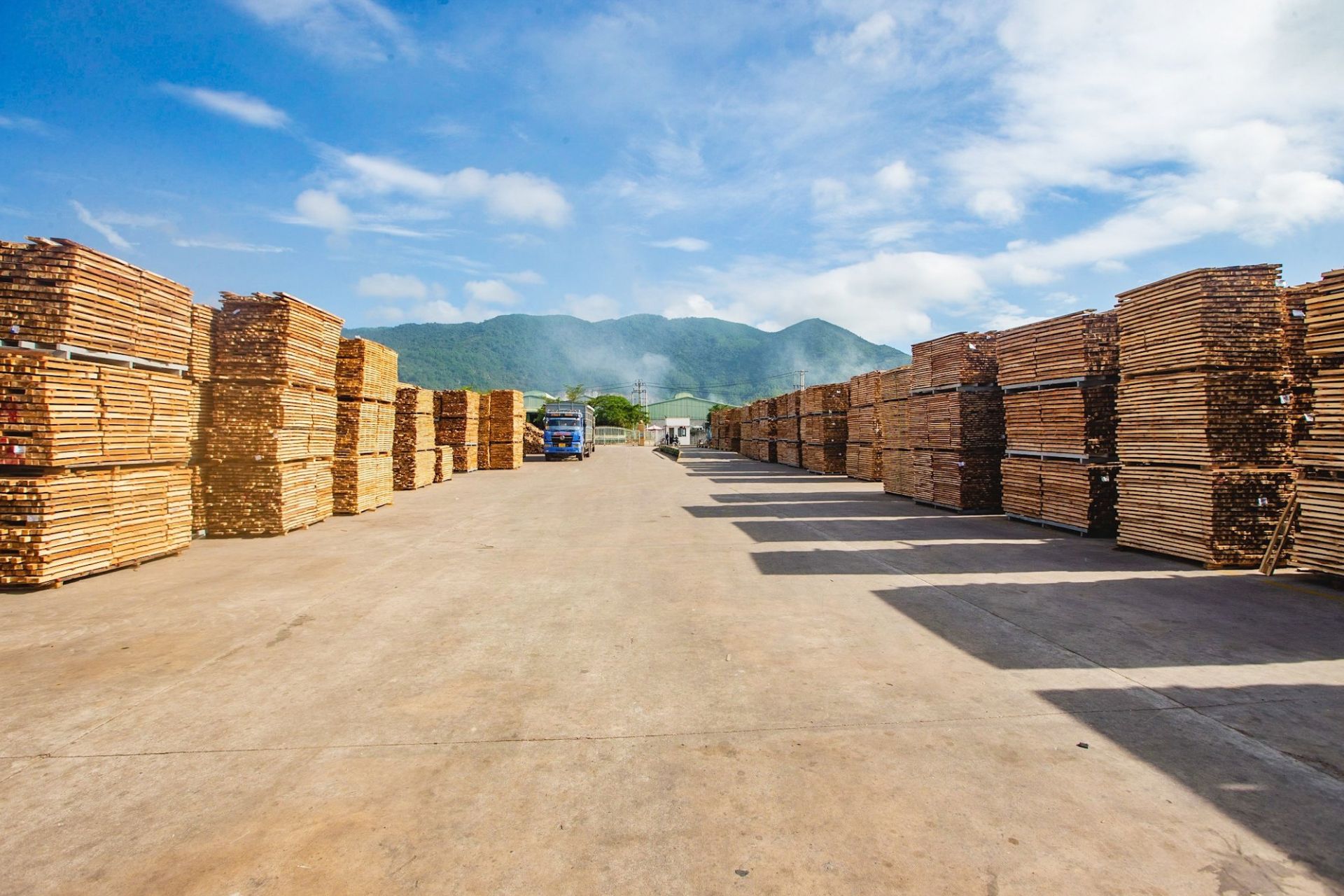How SSR Controls Consistency Across Container-Scale Wood Panel Production