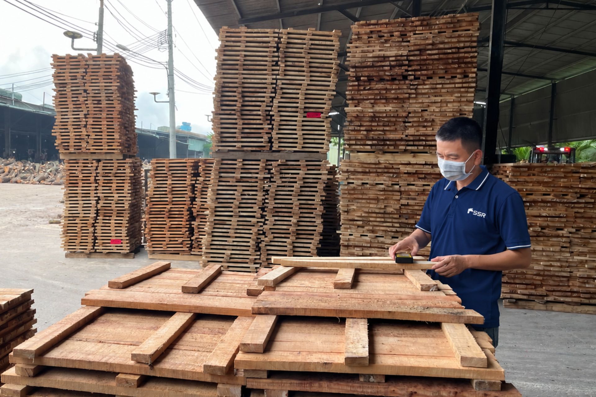 How SSR Controls Consistency Across Container-Scale Wood Panel Production Vietnam wood manufacturer raw material sorting process