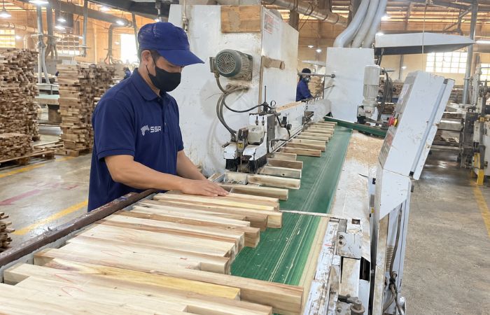 Selecting acacia timber for finger joint production