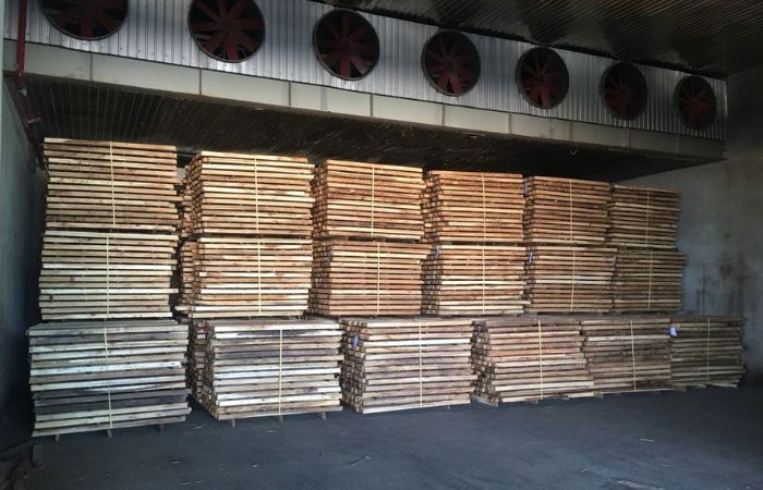 Acacia wood kiln drying