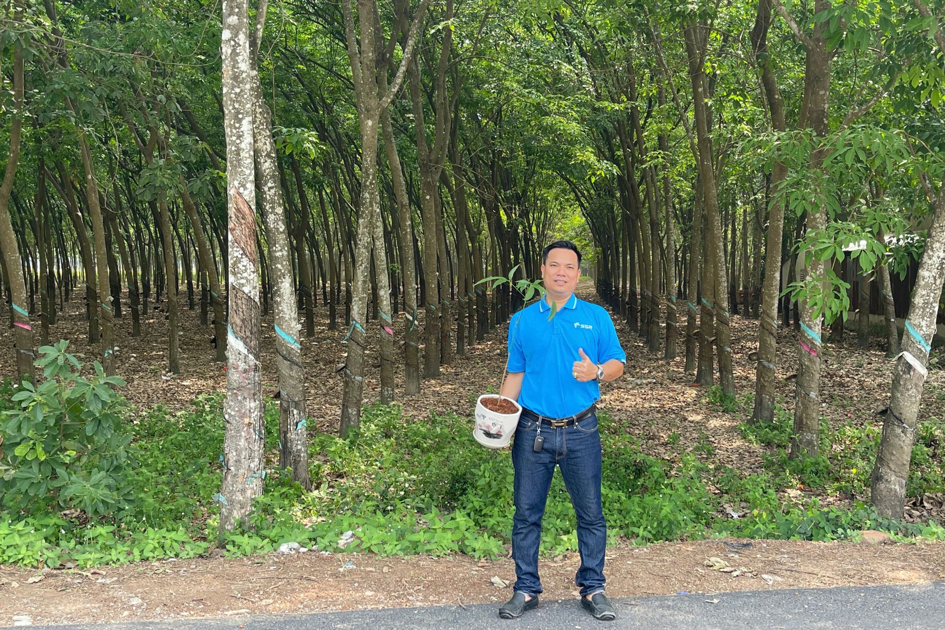 5 Things Hardwood Dealers Need From a Reliable Hardwood Supplier — Made in Vietnam for Global Markets Hardwood supplier managing plantation timber sourcing and traceability for global markets.