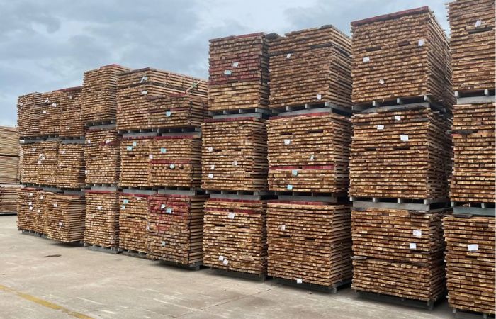 Acacia timber stored before kiln drying