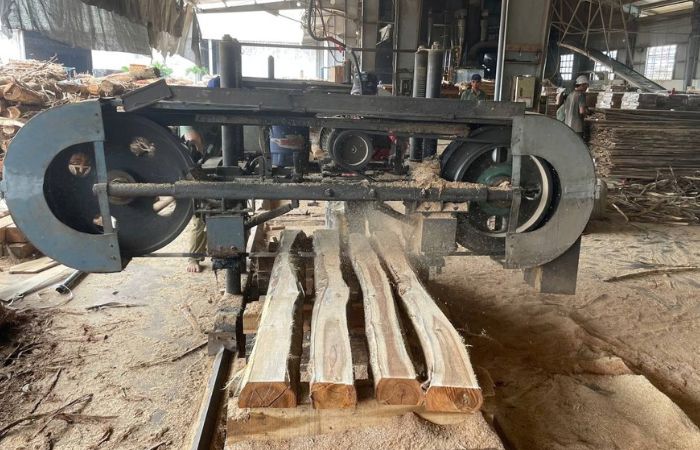 Acacia wood processing at sawmill