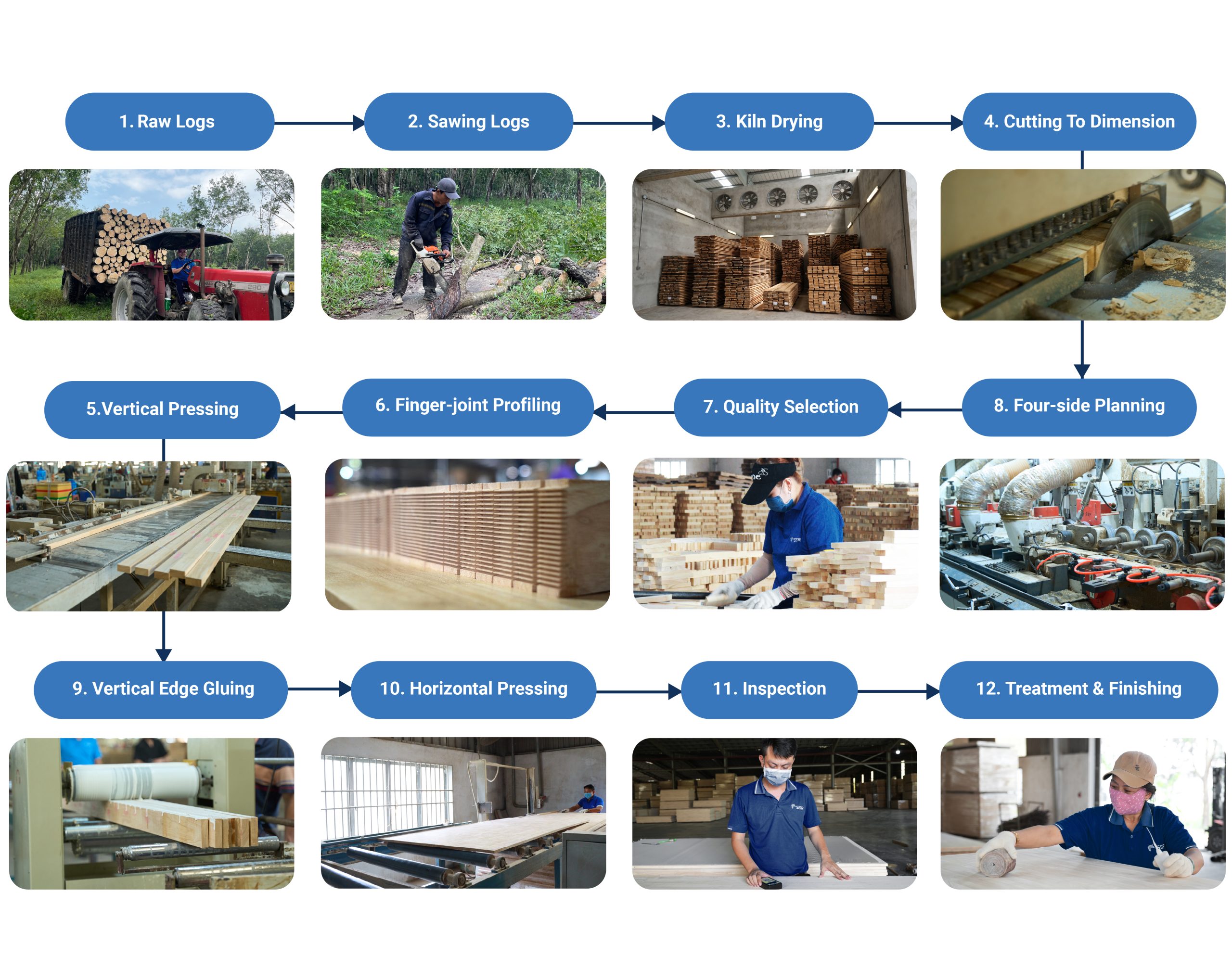 SSR wood board manufacturing process showing sawing, kiln drying, finger jointing, edge gluing, pressing, inspection and finishing